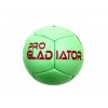 One Dozen - Gladiator Arena Polo Balls