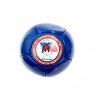 One Dozen - Gladiator Arena Polo Balls