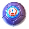 One Dozen - Gladiator Arena Polo Balls