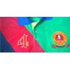 CUSTOM Polo Player Team Jersey Set - Embroidered